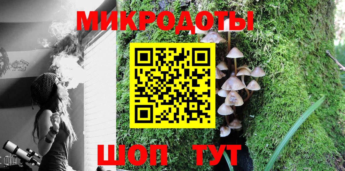 Галлюциногенные грибы Cubensis Ивантеевка