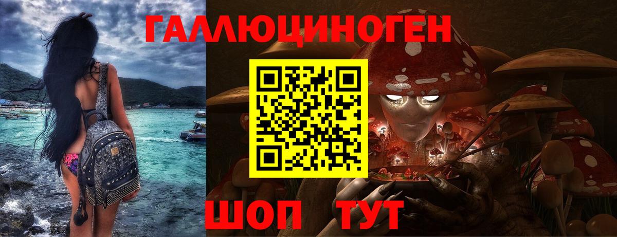 где купить наркоту  Галлюциногенные грибы Psilocybine cubensis  Галлюциногенные грибы Psilocybine cubensis  Вход с VPN  Ивантеевка 
